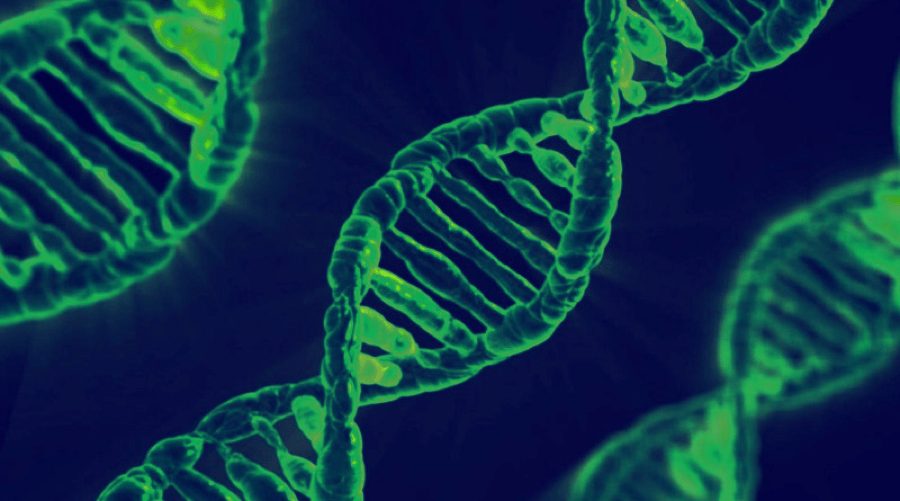 Cinq aperçus rapides sur CRISPR
